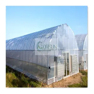 저렴한 가격 토마토 야채 플라스틱 필름 단일 스팬 농업 터널 온실 판매