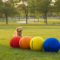 Équipement d'entraînement et de jeu pour chiens et chevaux, pliable, léger, écologique, pour l'extérieur, le parc, avec housse de protection pour ballon de herding, vente en gros