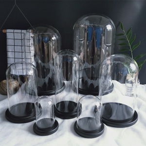 Cupola di Vetro con Base in Legno di Noce <span class=keywords><strong>Scuro</strong></span> per <span class=keywords><strong>Arredamento</strong></span> Casa - Product Image 3