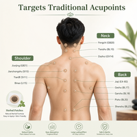Patch de Moxibustion à l'Armoise San Fu Tie pour Thérapie Chauffante des Points d'Acupuncture OEM 30 Pièces/Boîte Autocollant Chauffant Corporel d'Été Approvisionnement Direct Usine