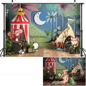 <span class=keywords><strong>3D</strong></span> premier anniversaire des enfants fond nuit forêt Animal photographie fond dessin animé photo <span class=keywords><strong>Studio</strong></span> photographie accessoires - Product Image 1