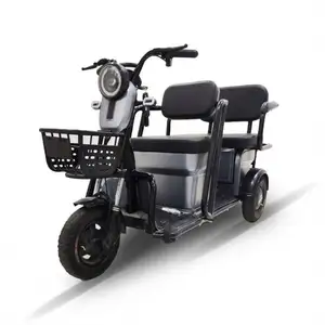 Simple To 48V Electric Trike Triciclo 2 Pessoa For Adult Use