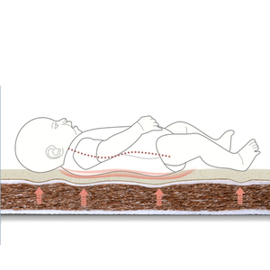 <span class=keywords><strong>Matelas</strong></span> Personnalisable <span class=keywords><strong>pour</strong></span> Lit Bébé, Confortable en Fibre de Coco Naturelle, <span class=keywords><strong>pour</strong></span> Nouveau-né - Product Image 3