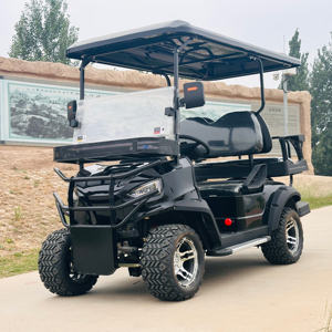 Voiturette de golf électrique 6 places, scooter électrique au lithium, voiturette de golf six places - Product Image 2