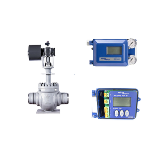 Válvula Neumática de China con Solenoide Spirax Sarco Smart SP500 y 210 - Product Image 1