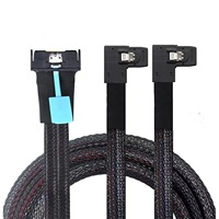 MCIO 8i zu Dual SFF-8087 Kabel 0,5M PCIe Hochgeschwindigkeits-Server-Speicher-Breakout-Kabel