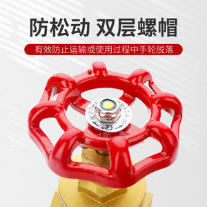 Vanne à opercule en laiton épaissi 4 6 1 pouce, type à commande manuelle pour conduites d'eau, à opercule unique, à double sens de débit - Product Image 2