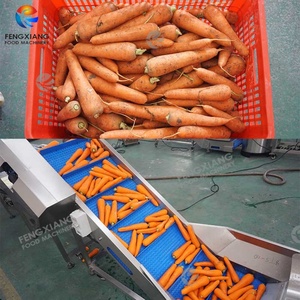 สายการผลิตแครอทและหัวไชเท้าเชิงพาณิชย์ เครื่องล้างปอกเปลือกหั่นหัวไชเท้า - Product Image 2