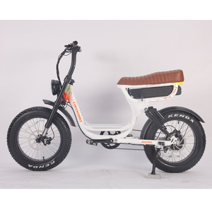 Motocicleta Eléctrica Super Power 250W 750W 1000W 73 Lady Model Cyle Vintage de Doble Motor ATV07-D, Motocicleta de 250w, Motocicleta de 750w - Product Image 2