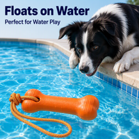 Ensemble de jouets à mâcher pour chien classiques et mignons en forme d'os, en mousse EVA écologique, pour usage quotidien et soulagement de l'ennui, colorés avec corde