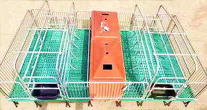 Hayvan doğum yatağı çiftlik yetiştirme ekipmanları dökme demir domuz kalem sow farfarsandık satılık domuz kafesi ile domuz obstetrik masa - Product Image 2