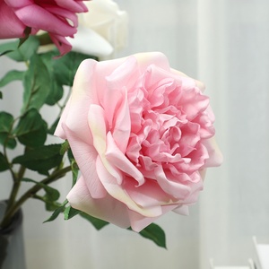 Rose D-Spray Real Touch Austin, Accessori per Fotografia, Decorazioni per la Casa - Rose Artificiali a Stelo Singolo, Vendita all'Ingrosso - Product Image 2