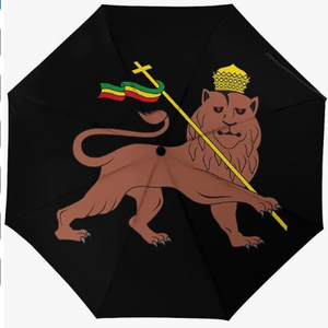 Parapluie portable à long manche de style éthiopien avec diverses impressions graphiques personnalisées, idéal pour la protection solaire et la protection contre la pluie en <span class=keywords><strong>voyage</strong></span> - Product Image 1