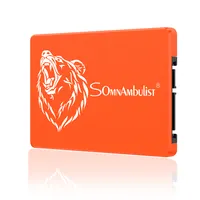Somnambulist GJS09 dahili katı hal sürücü 60gb 960gb SSD120gb 240gb 480gb ssd dizüstü 2tb ssd sabit disk