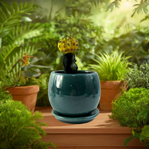 Piattaforma in ceramica succulenta e <span class=keywords><strong>Cactus</strong></span> piantatrice in gres cotto <span class=keywords><strong>con</strong></span> vassoio per la decorazione del giardino di casa e uso della scuola materna - Product Image 1