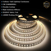 Bande LED SMD 2835 CCT 10 mm, alimentation d'usine, 24 V CC, 120 SMD/m, IP20/65/67/68, télécommande, intérieur/extérieur