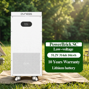 Batterie LiFePO4 Dyness PowerBrick SC 16,076 kWh 51,2 V 314 Ah, 8000+ cycles, 50 unités en parallèle, stockage d'énergie solaire domestique - Product Image 1