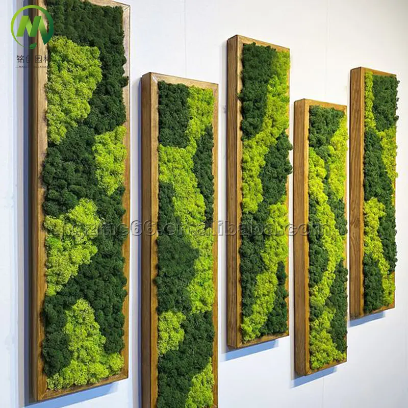 Customized real moss wall art handmade moss panel natural looking green wall preserved moss for wall decoration