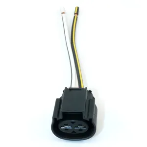 Maatwerk Elektrische Kabel Ev Dt Elektrische Molex Plug Jst Auto Bedrading Vrouwelijke Hoogspanning Productie 2 Pin Connector