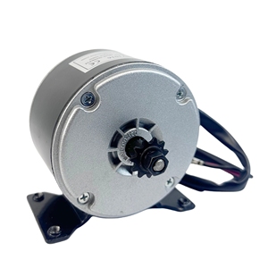 Motor de CC de Alta Velocidad de 250W, <span class=keywords><strong>12V</strong></span>/24V/36V, 11T, para Bicicletas Eléctricas, Scooters Eléctricos, Triciclos, Electrodomésticos, Uso en Barcos, Modelo MY1016, 0.87Nm de Torque - Product Image 6