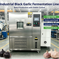 Machine de Fermentation d'Ail Noir à Arrêt Automatique et Fermentation Automatique sans Contrôle Manuel