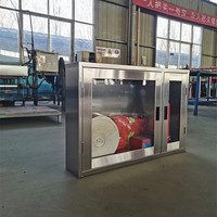 Armoire moderne à double porte en acier inoxydable pour extincteur d'incendie en métal et enrouleur de tuyau pour centre commercial, hôtel, salle de sport, appartement