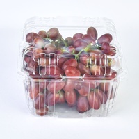 Contenant en plastique PET transparent pour fruits frais, type clamshell, 3 lb, pour myrtilles et raisins, emballage alimentaire à emporter