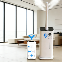 Humidificateur d'air ultrasonique électrique en plastique 17L, aromathérapie, humidification rapide, design portable de table, faible bruit, brume fraîche
