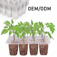 Mini bac à graines en plastique, pot de plantes, conteneur de culture pour plantes, en rotin et plantes pour pépinière succulentes, 1 pièce