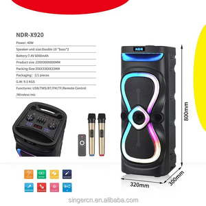 Altavoz de Karaoke NDR-X920 con 2 Micrófonos, Altavoz PA Dual de 10 Pulgadas, Sistema de Sonido Estéreo HIFI, Altavoz con Ruedas para Fiestas - Product Image 3