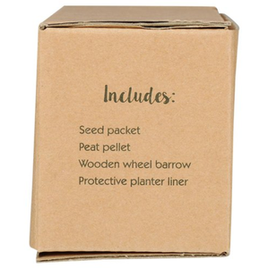 Kit de culture de fleurs en mini chariot à main en bois avec logo personnalisé, style vintage rustique, pour jardin, cadeau promotionnel mignon, vente en gros - Product Image 6