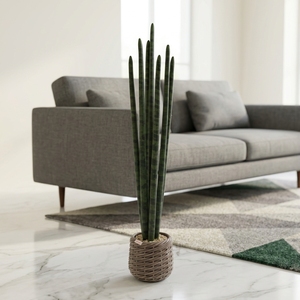 Nuovo Design Piante Artificiali in Vaso Miniatura ad Alta Durabilità, Vendita Diretta dalla Fabbrica, <span class=keywords><strong>Bonsai</strong></span> con Foglie Verdi Realistiche per Decorazione Scaffali - Product Image 1