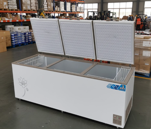 Congélateurs horizontaux de laboratoire de haute qualité Pusen, congélateurs horizontaux à ouverture supérieure de 280 à 1550 litres - Product Image 3