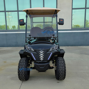 Carrito de Golf Eléctrico de 2 Plazas con Batería de Litio, Vehículo Eléctrico de Nueva Energía Directo de Fábrica, Piezas de Carrito de Golf Eléctrico en Venta - Product Image 5