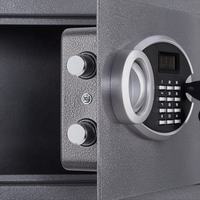 Safewell Hochbelastbarer Stahl-Sicherheitssafe mit Doppelverriegelungssystem Diebstahlsicherer Kompakt-Safe für Persönlichen Schmuck und Wertsachen