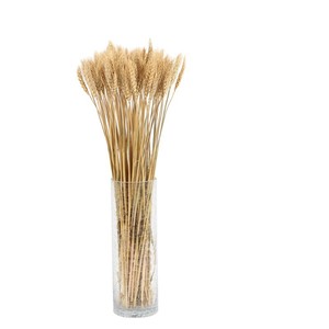 Bouquet d'épis de blé séchés Wen Hope, accessoires décoratifs naturels pour la maison et les mariages - Product Image 5