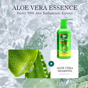 Champú Capilar de Aloe Puro de 500 ml con Logotipo Personalizado, Champú Equilibrante para Control de Grasa para Cuero Cabelludo Sensible y <span class=keywords><strong>Graso</strong></span> - Product Image 2