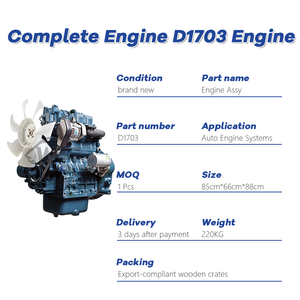 JELXEL Fornitore di Parti per Escavatori, Gruppo Motore Diesel D1703 per Escavatori Kubota - Product Image 1