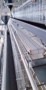 3/4 tầng thép mạ kẽm gà Coop cho chăn nuôi gia cầm một loại lớp trứng gà lồng với động vật đẻ gà chim cút chim sử dụng - Product Image 5