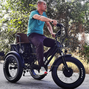 Nouveau modèle de tricycle électrique à pneus larges 48V 500W, tricycle tout-terrain pour le transport de marchandises et de passagers, vélo à trois roues pour adultes âgés avec pédales - Product Image 5