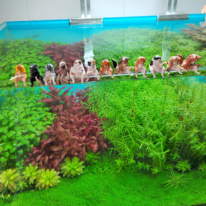 Offre Spéciale mignon Mini chat de pêche en plastique modèle écologique bricolage Terrarium ornement décoratif pour la décoration de réservoir de poissons - Product Image 4