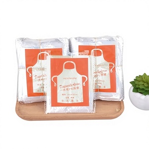 Delantal Desechable de PE para Niños, para Pintura, Manualidades, Picnics, Fiestas, Cocina, Tareas Domésticas, Impermeable, con Asas, Tamaño Personalizado de Fábrica - Product Image 1