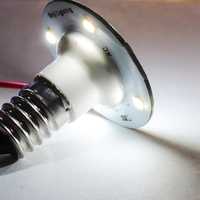 Lampe LED Carrousel 60V-24V, ampoule E14, étanche IP66, garantie 2 ans, blanc froid, pour parcs d'attractions et parcs à thème, éclairage ponctuel