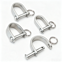 Cierre de Acero Inoxidable Tipo D de Liberación Rápida para Llavero, Conector para Llavero de Coche, Accesorios para Bolsos y Correas