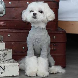 <span class=keywords><strong>Camisa</strong></span> cómoda con fondo <span class=keywords><strong>de</strong></span> cuatro piernas para mascotas, ropa <span class=keywords><strong>de</strong></span> lujo con ojos <span class=keywords><strong>de</strong></span> amor para perros - Product Image 3