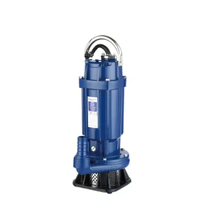 1.5hp 250L/M 12,5 pulgadas eléctrica para agua limpia jardín riego QDX bomba sumergible bomba de agua de la muestra