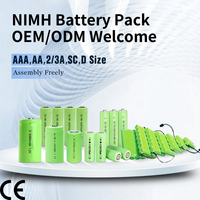 Pack de batteries rechargeables Ni-MH 6V 2000mAh 5 AA avec connecteur SM-2P noir à 2 broches et câble de charge USB pour camions et voitures RC