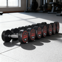 Set Dumbbell Karet Kepala Bulat Grosir Pabrik Logo Kustom TOPTONS untuk Angkat Beban