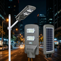 Lampu Jalan Tenaga Surya Terintegrasi LED, Sensor Gerak Kontrol Jarak Jauh untuk Proyek Kota