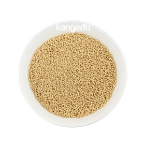 Số lượng lớn OEM nóng bán nước giải khát Trà Thảo Dược Mật Ong Gừng trà ngay lập tức gừng uống với mật ong - Product Image 1